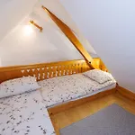 Apartmaji Hodnik Stara Fuzina Apartment *